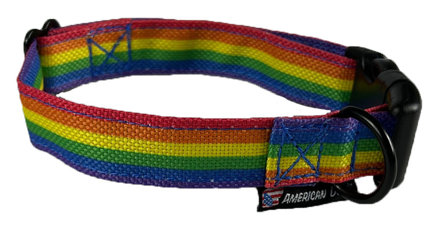 Rainbow striped dog collar with black quick release buckle