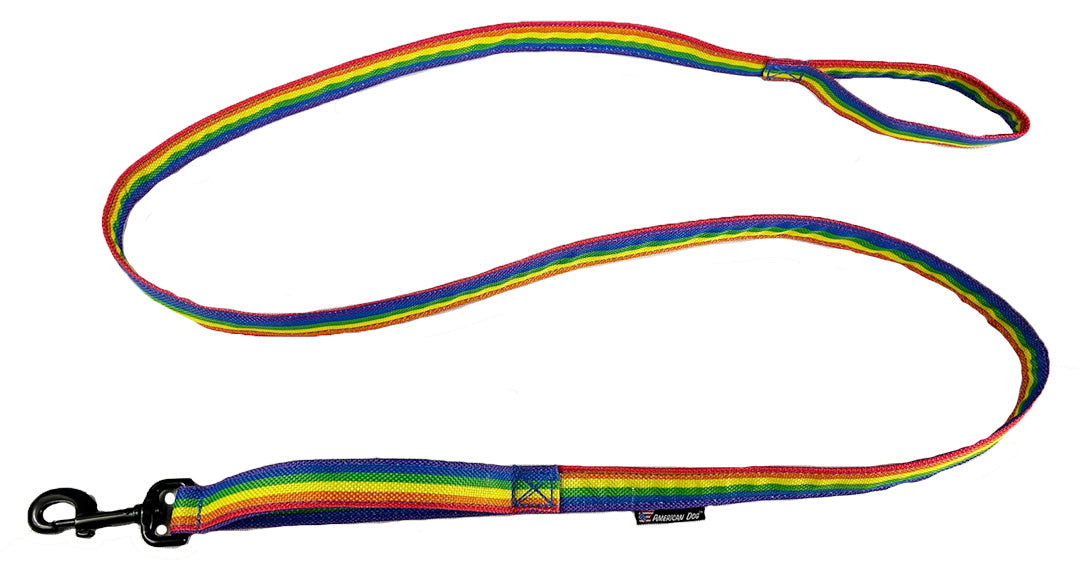 Rainbow striped dog leash with a lower traffic handle and handle at the end of the leash.  Black clip to attach to collar or harness.