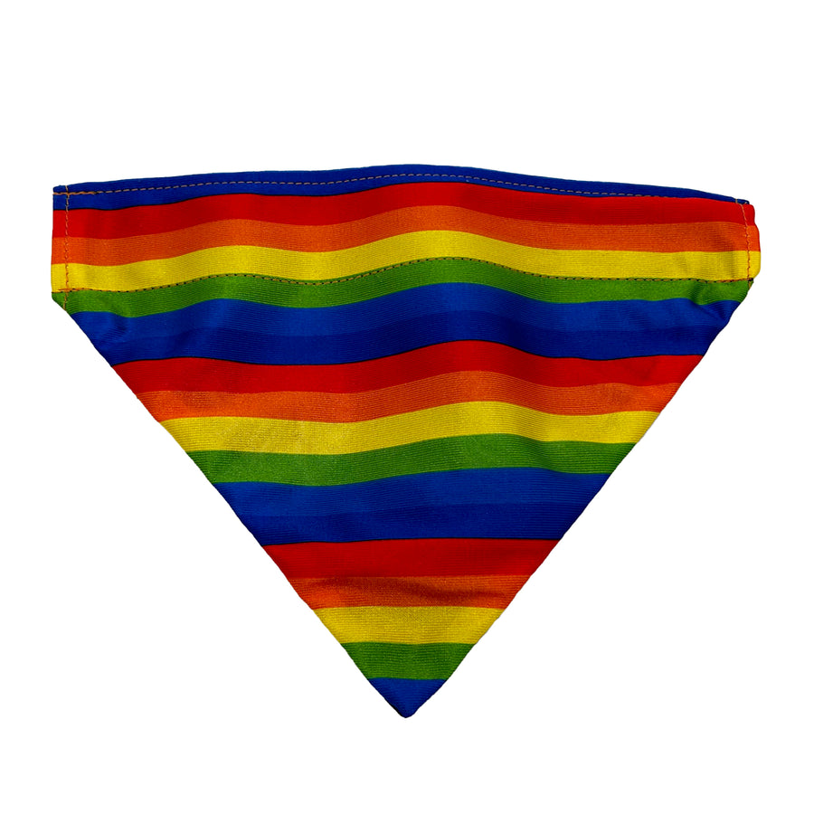 Rainbow striped bandana that slips onto the dogs collar